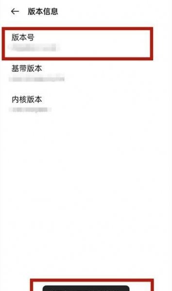 一加9怎么进入开发者模式