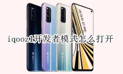 iqooz1开发者模式怎么打开 iqooui开发者模式怎么打开