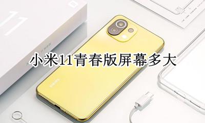 小米11青春版屏幕多大 小米11青春版多大屏幕尺寸