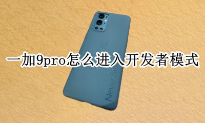 一加9t进入开发者模式 一加9pro怎么进入开发者模式