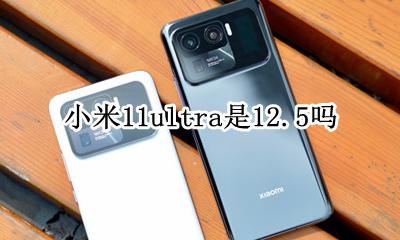 小米11ultra是什么版本 小米11ultra是12.5吗