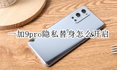 一加9pro隐私替身怎么开启 隐私替身怎么用