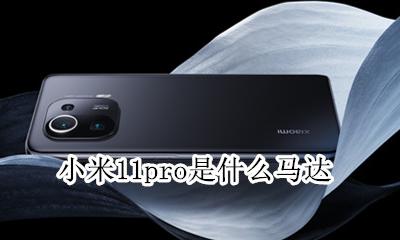 小米11的马达是什么 小米11pro是什么马达