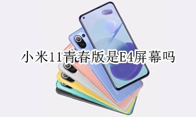 小米11青春版是E4屏幕吗 小米11和小米11青春版屏幕区别