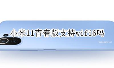 小米11青春版有双wifi吗 小米11青春版支持wifi6吗