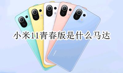 小米11是线性马达 小米11青春版是什么马达