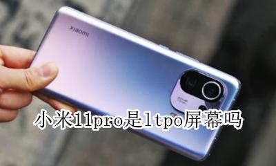 小米11por是屏下摄像头吗 小米11pro是ltpo屏幕吗