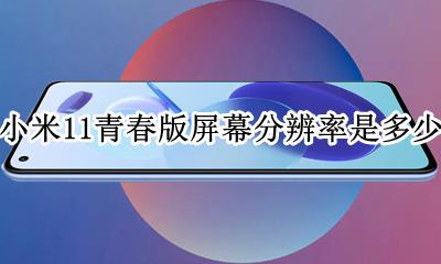 小米11青春版屏幕尺寸是多少 小米11青春版屏幕分辨率是多少