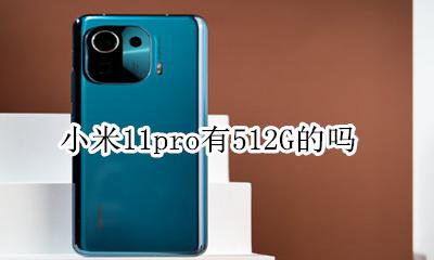 小米11pro内存 小米11pro有512G的吗