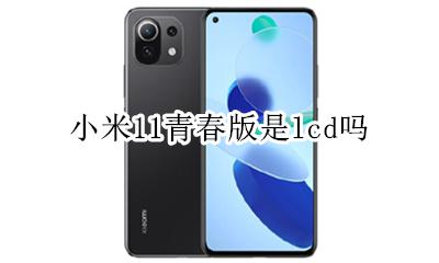 小米11青春版是lcd吗 小米11和小米11青春版屏幕一样吗