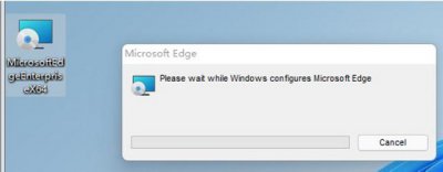 win11flash插件异常怎么办 win11flash运行异常问题修复失败解决教程