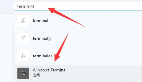 win11提示找不到wt.exe解决教程