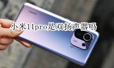 小米11有没有双扬声器 小米11pro是双扬声器吗