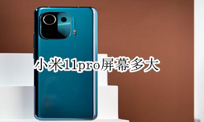 小米11pro屏幕多大 小米11pro屏幕尺寸