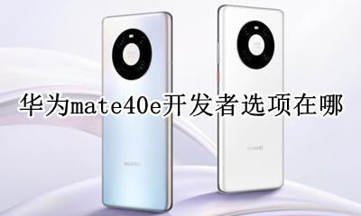 华为mate40e开发者选项在哪 华为mate40pro开发者选项在哪里
