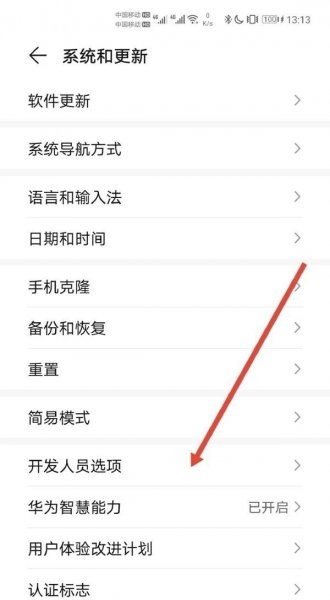 华为mate40e开发者选项在哪