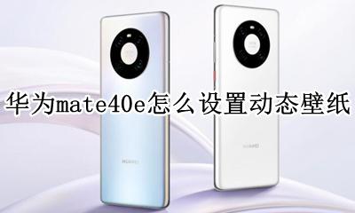 华为mate40e怎么设置动态壁纸 华为mate40动态壁纸怎么设置?