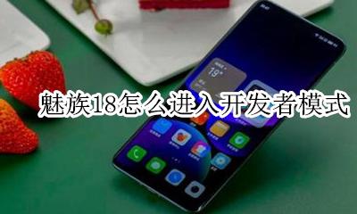 魅族18开发者选项在哪 魅族18怎么进入开发者模式