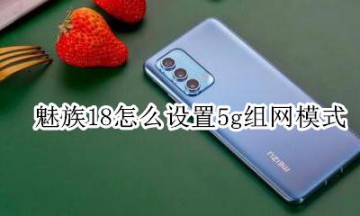 魅族18怎么设置5g组网模式 魅族18th支持18g网络吗