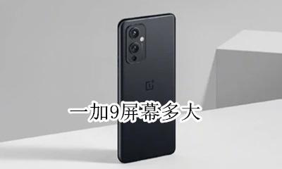 一加9屏幕多大 一加9pro屏幕