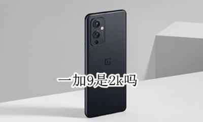 一加9是2k屏吗 一加9t屏幕分辨率是9k吗