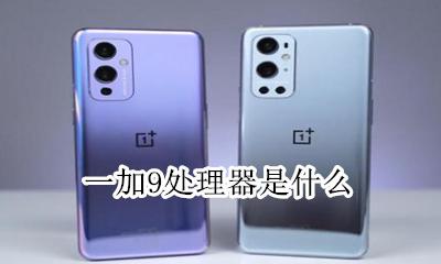 一加手机 9 一加9处理器是什么