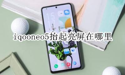 iqooneo5抬起亮屏在哪里 iqooneo左侧按键是干嘛的