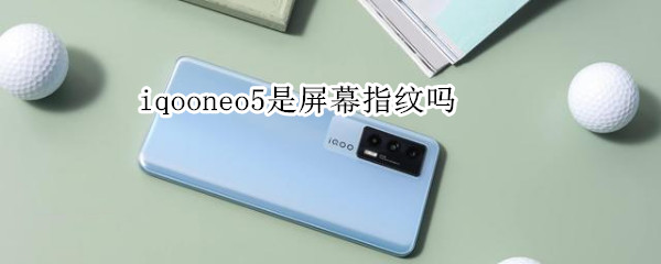 iqooneo5是什么指纹