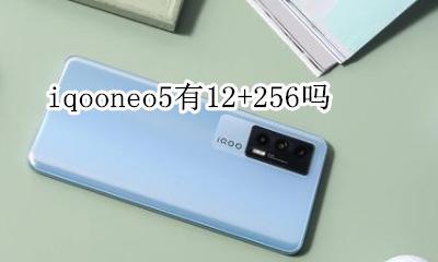 iqooneo5+5 iqooneo5有12+256吗