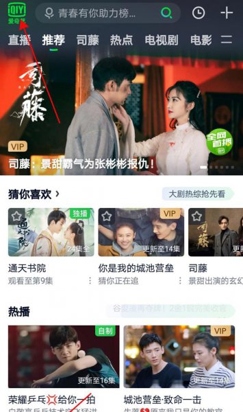 爱奇艺皮肤在哪里设置