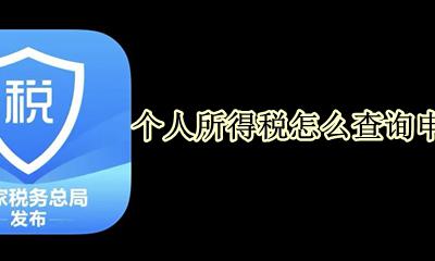 个人报税记录哪里可以查询 个人所得税怎么查询申报记录
