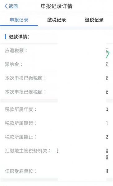 个人所得税怎么查询申报记录