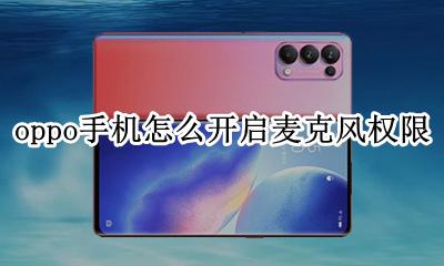 oppo手机怎么开启麦克风权限 oppoa5手机麦克风权限设置在哪里