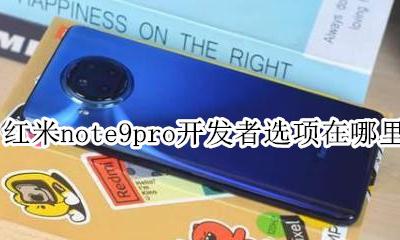 小米note9开发者选项在哪里 红米note9pro开发者选项在哪里