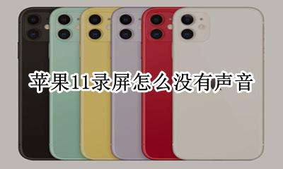 苹果11录屏怎么没有声音 为什么苹果11录屏没声音