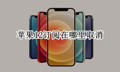 苹果12订阅在哪里取消 苹果12手机怎么取消订阅服务
