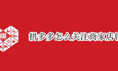 拼多多怎么关注商家店铺 拼多多店铺关注有什么用