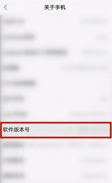vivos9开发者模式在哪