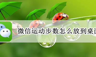 微信运动步数怎么放到桌面 怎样把微信运动步数放到桌面