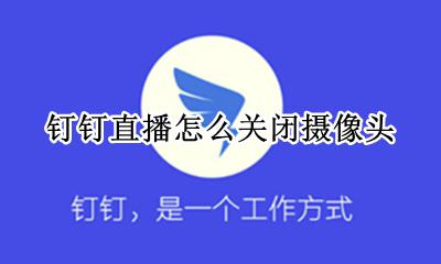 钉钉直播怎么关闭摄像头 钉钉直播如何关闭摄像头