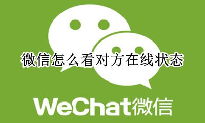 微信怎么看对方在线状态 微信怎么看别人在线状态