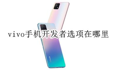 vivo手机开发者选项在哪里 vivo手机设置里的开发者选项在哪