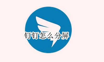 钉钉怎么分屏 分屏教程