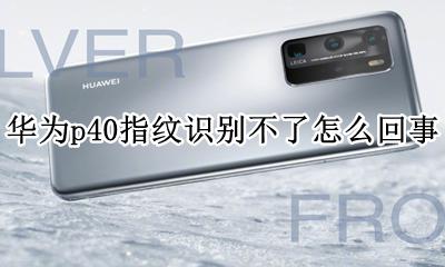 华为p40指纹失灵一招解决 华为p40指纹识别不了怎么回事