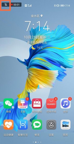 华为录屏为啥录不了微信语音