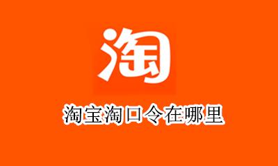 淘宝淘口令在哪里 淘宝口令是什么在哪