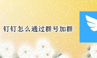 钉钉怎么通过群号加群 怎么通过群号加入钉钉群