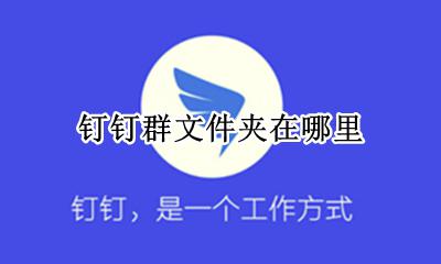 钉钉群文件夹在哪里 钉钉里的群文件在哪里看