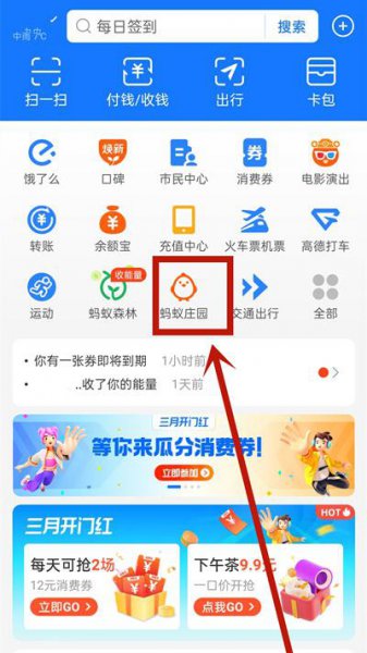 蚂蚁庄园如何设置自动投食