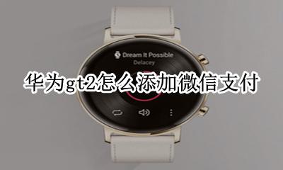 华为gt2怎么添加微信支付 华为gt2怎么绑定微信支付
